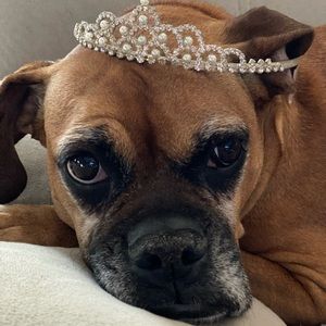 Meet your Posher, Heather